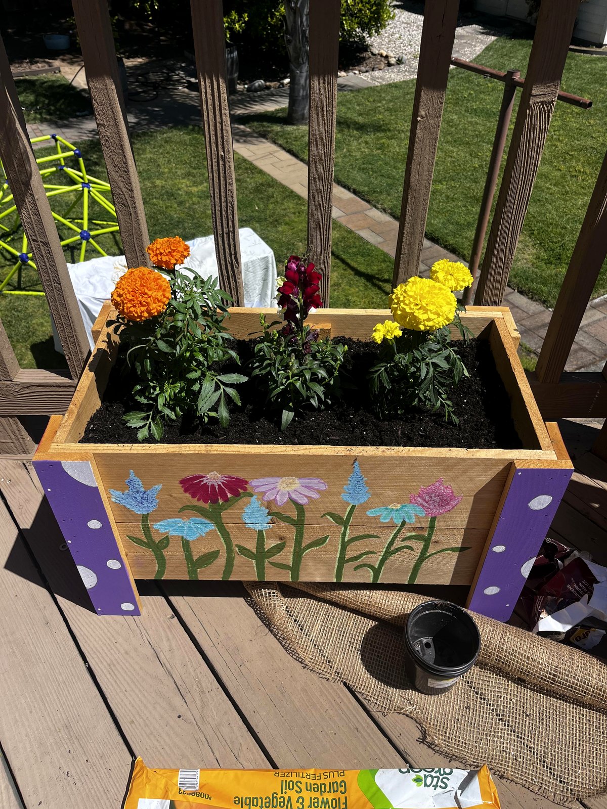 Sowed flowers for the first time in my own apartment