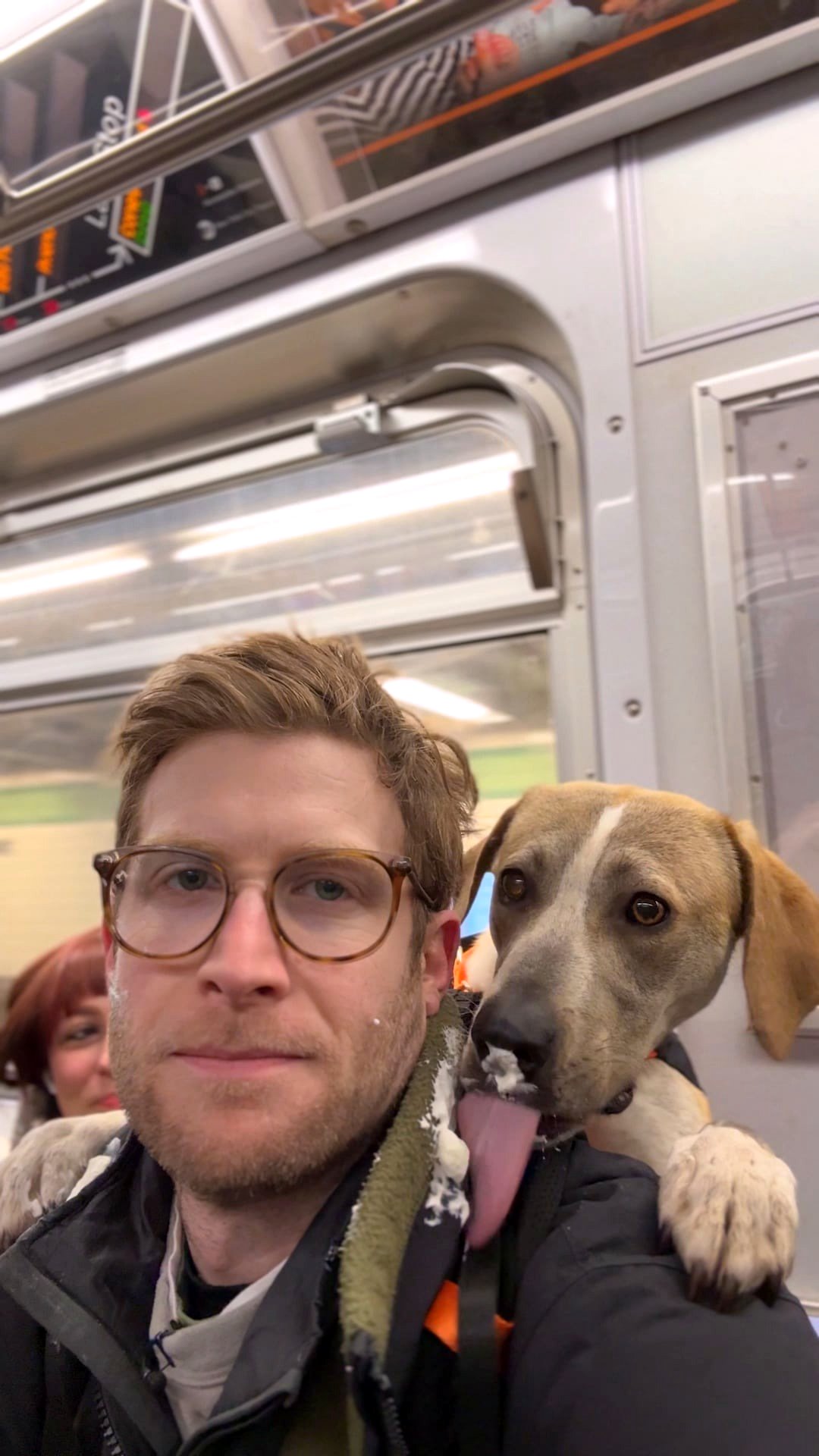 I transport shelter dogs in a backpack throughout NYC to assist in their adoption. Meet Champagne!