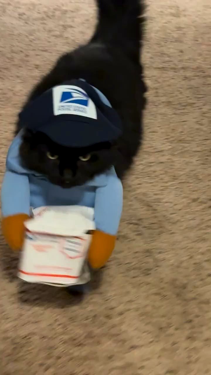 Parcel is delicate 🤣
