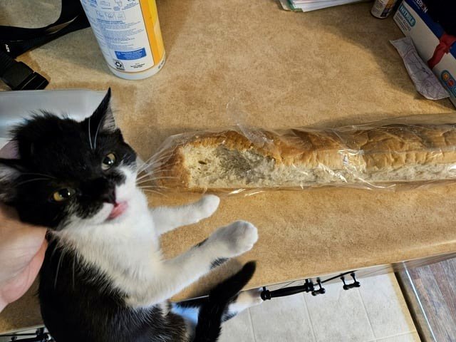 I caught the offender in the act.