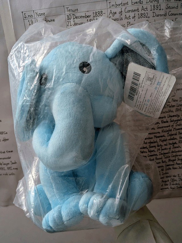 My students presented me with a plush elephant for Teacher’s Day.