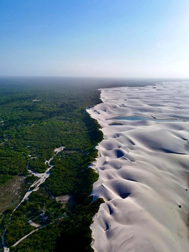 The clear boundary between a vibrant forest and the white sand dunes of Lençóis Maranhenses, Brazil.
