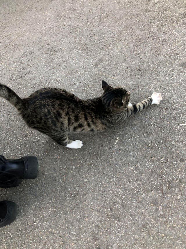 Absolutely adorable! 🥹