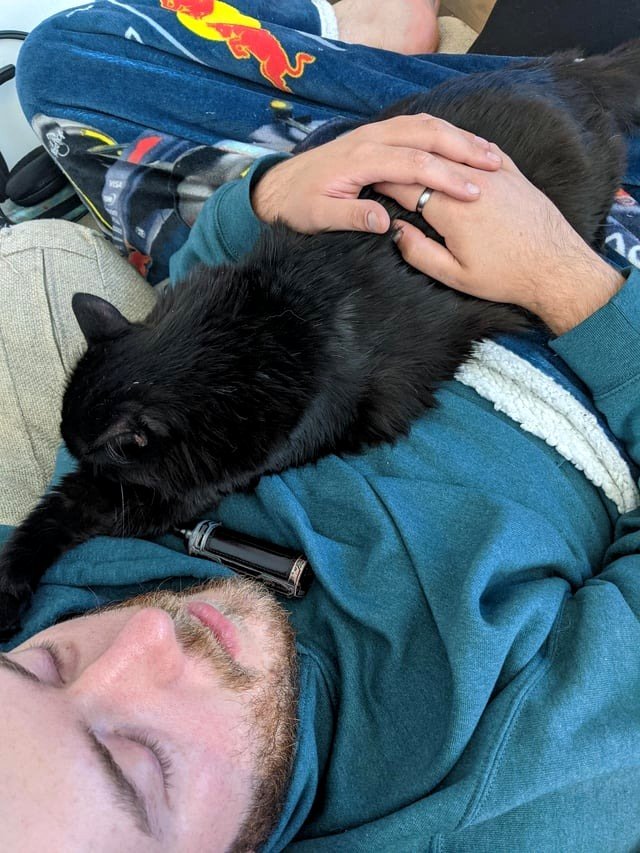The extent of this cat’s affection for this man…