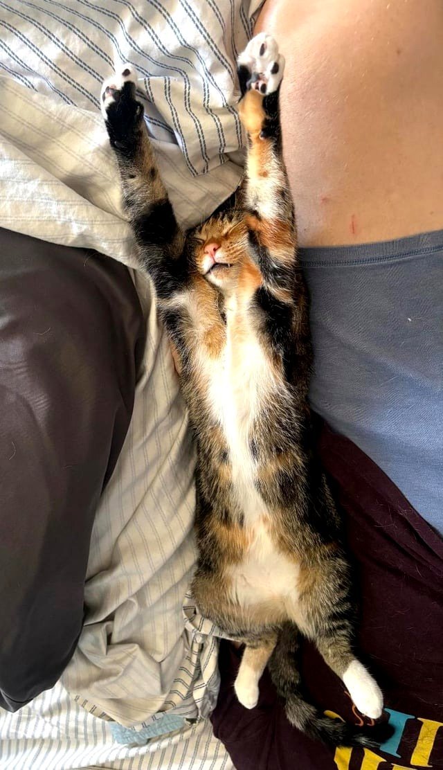 Extend!