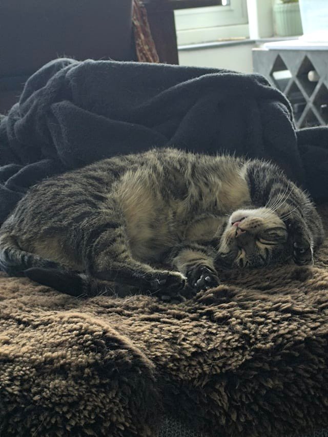 Nacho demonstrating the ideal relaxation posture