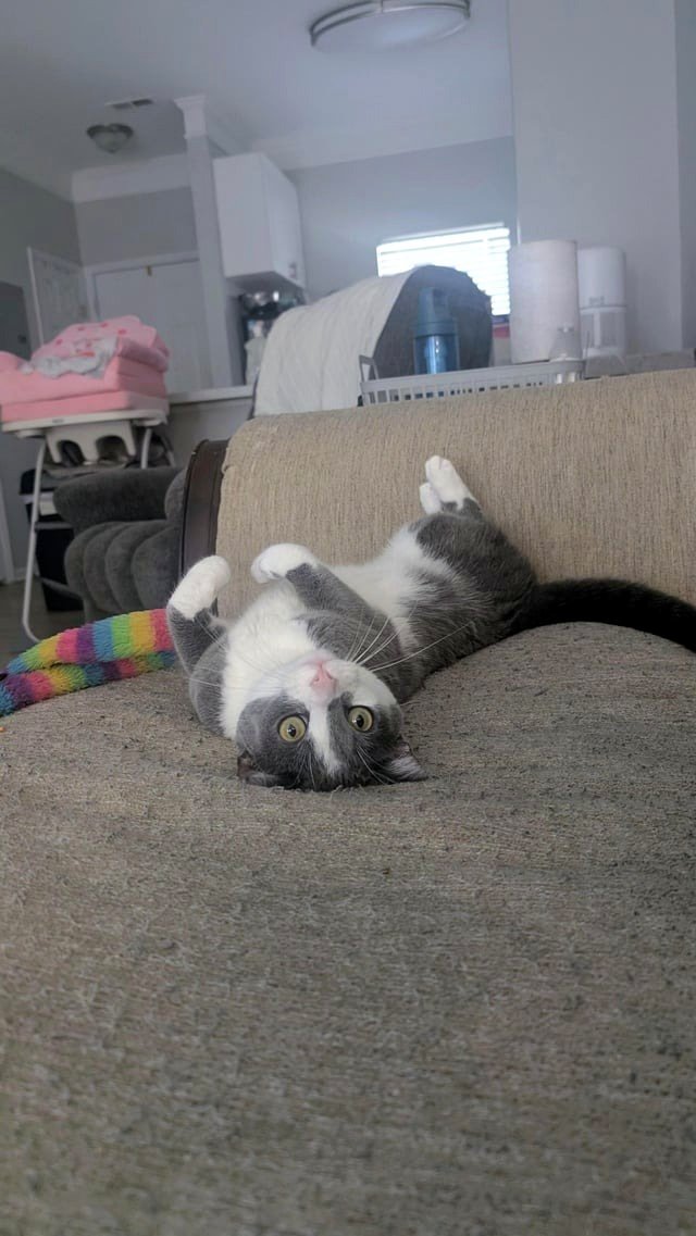 Minni wishes to play