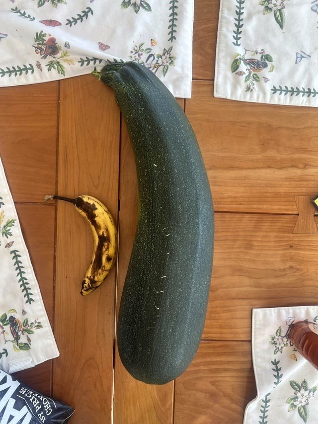 about a zucchini