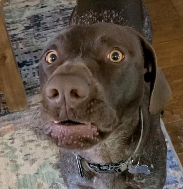 I snapped back 😆❤️ He was caught off guard!
