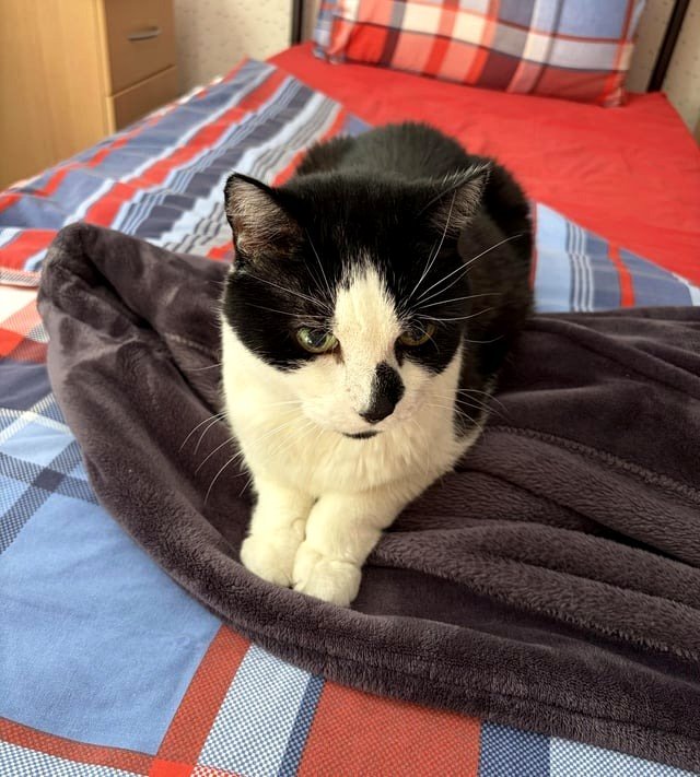 it's now her robe