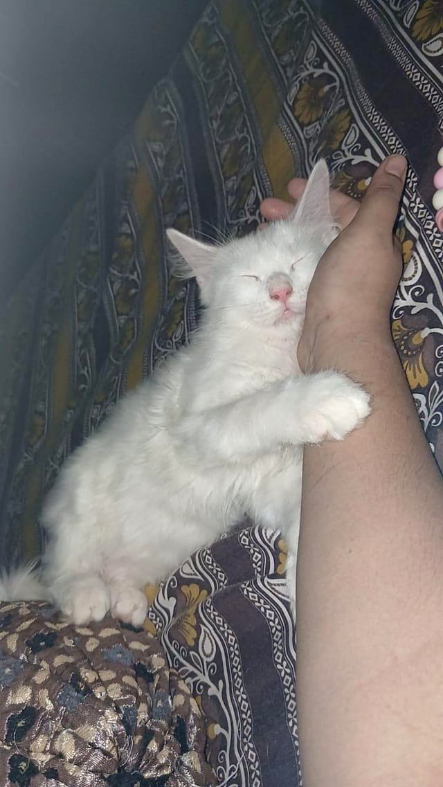 Fluffy clouds chose to rest on my arm.