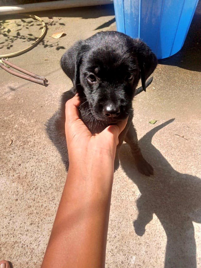 My dark one