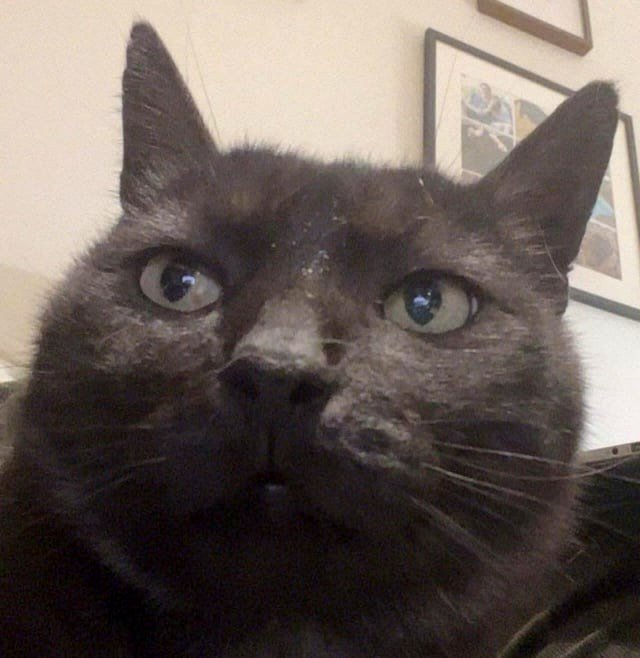 My adolescent son