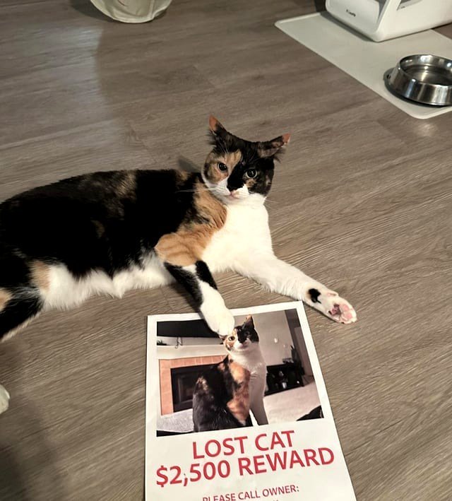 She's returned and behaving as if nothing occurred.