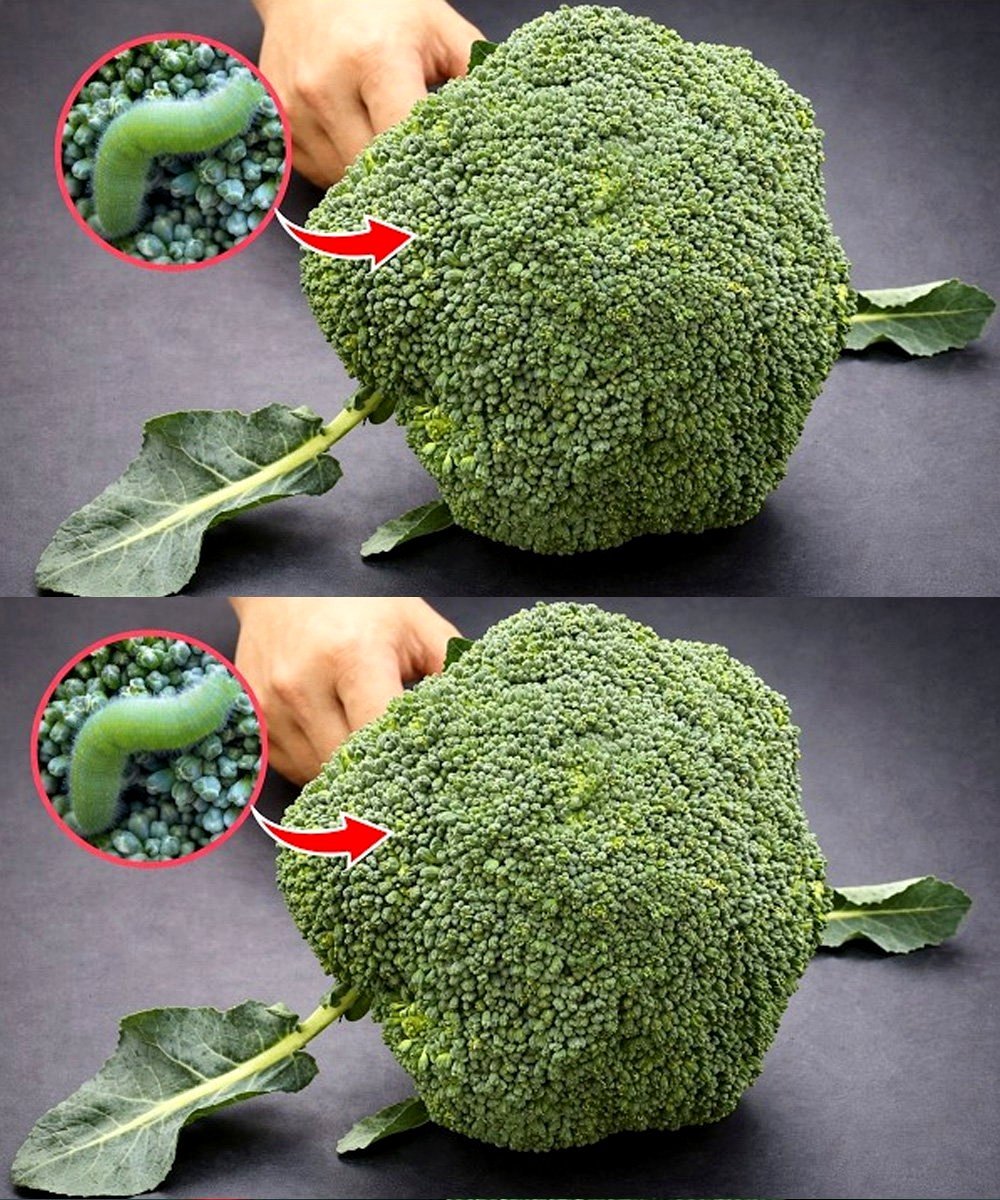 Rinsing broccoli with only water is incorrect: Here’s the proper method.