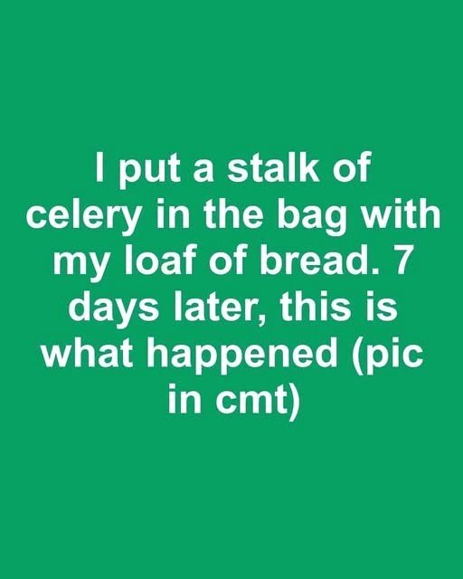 I placed a piece of celery in the bag with my loaf of bread. A week later