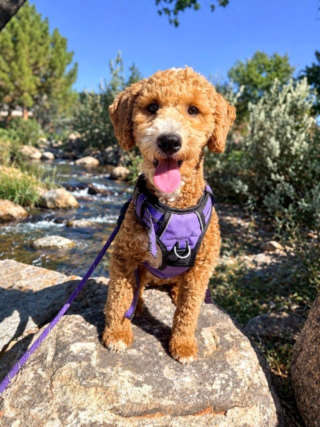 Time to head outdoors!