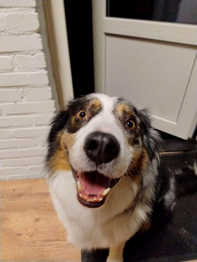 The most delightful!