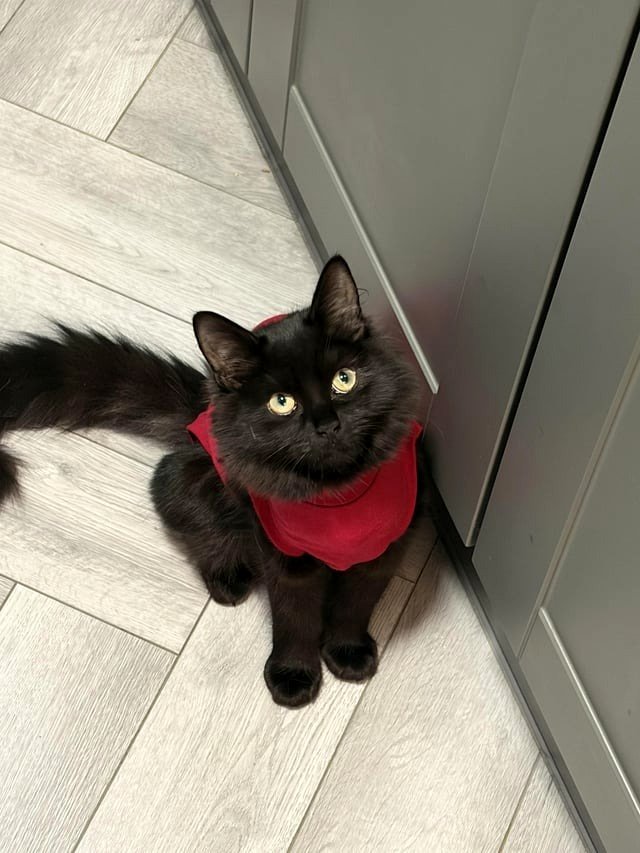 She protected me from being scammed today 🥺