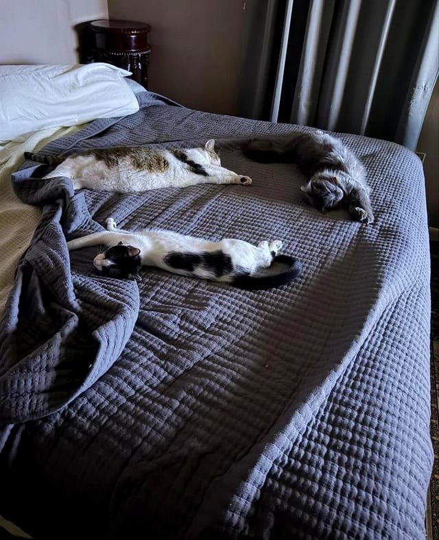 Where should I lie down?