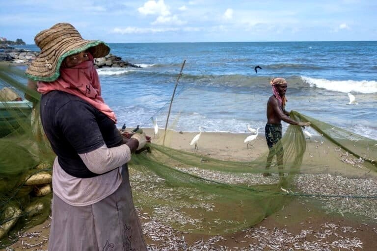 A report states that by 2040, 46% of wild-caught fish may be used as feed for farmed fish and shrimp.
