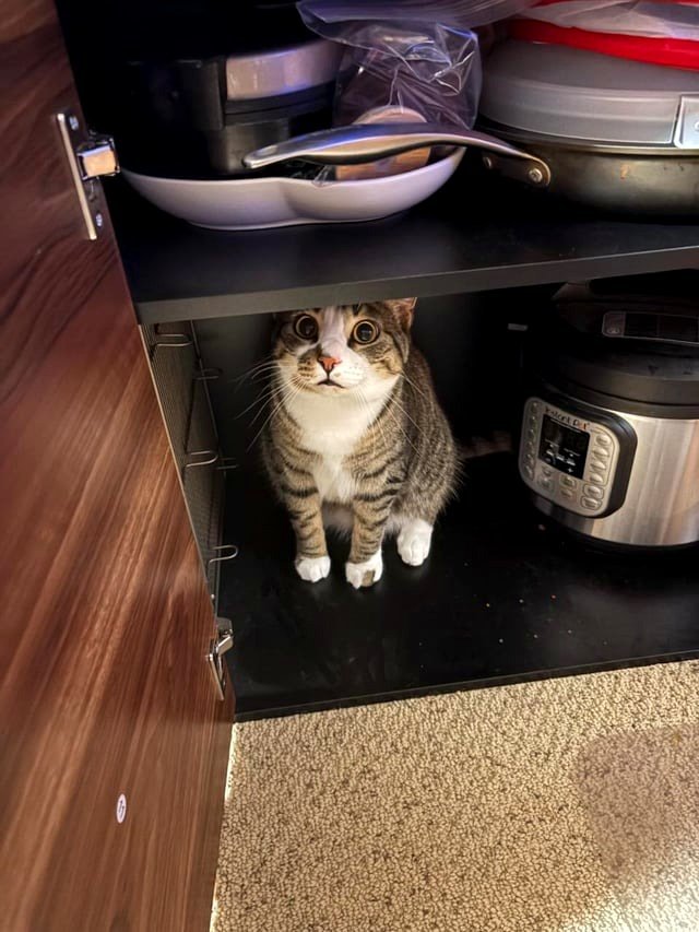 I got the cutest picture of my baby boy, Atlas