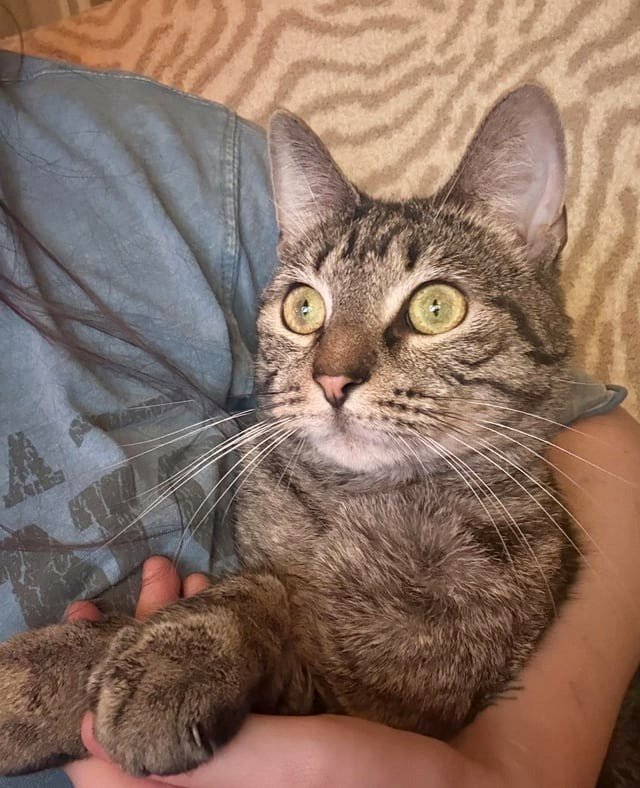 Frankie focused on his bird videos