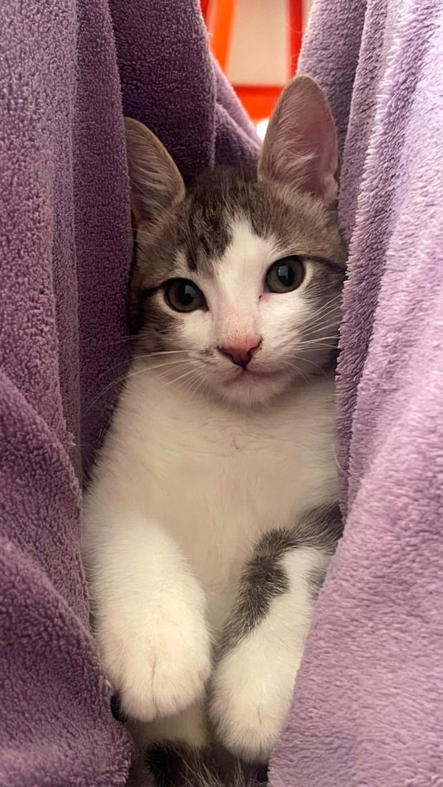 check out this tiny fellow