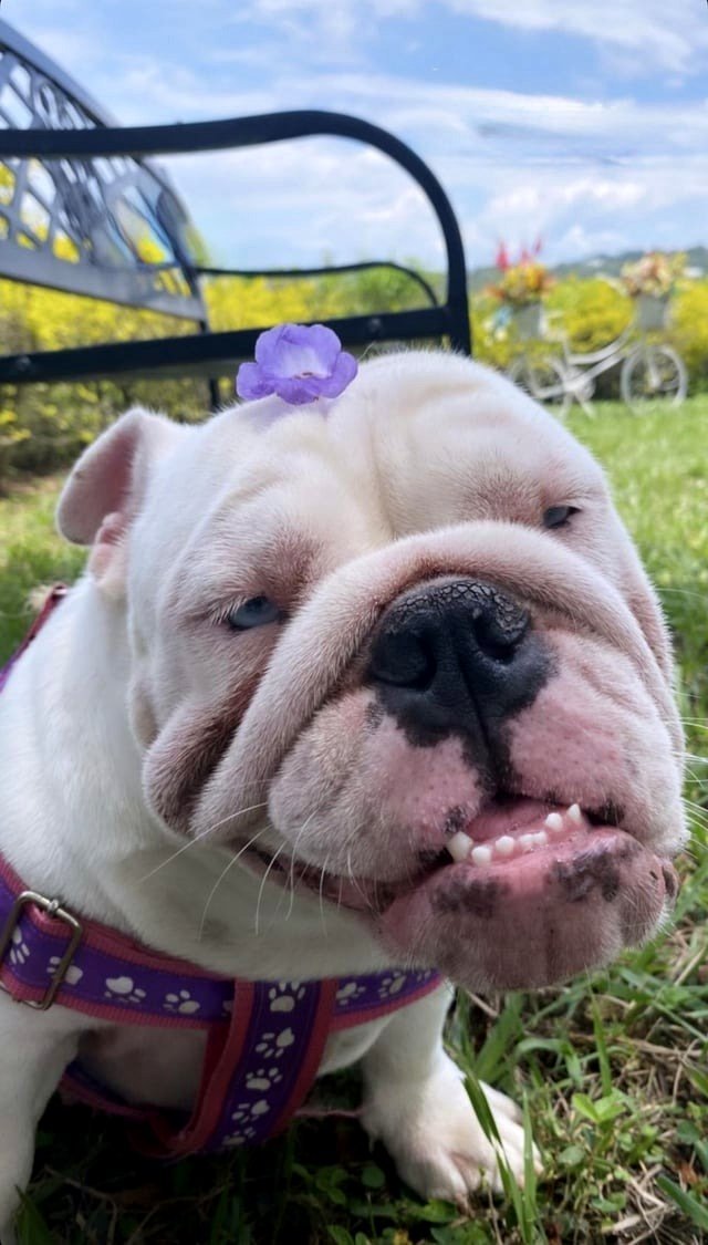 Una persona está muy contenta porque fuimos al parque, tiene 12 años y le cuesta caminar, pero es su actividad favorita 🥺❤️