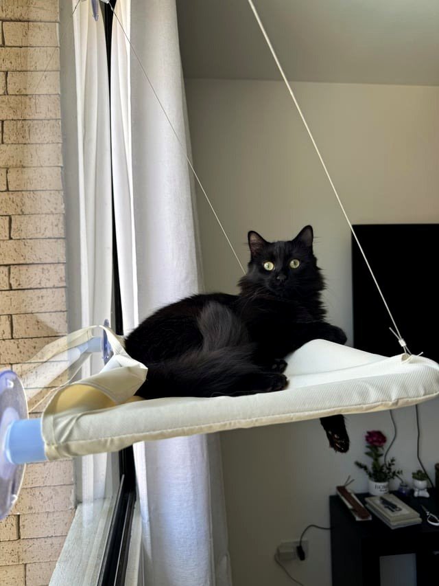He’s very sophisticated.