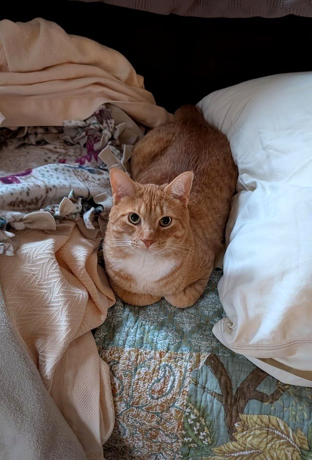 I moved from my couch sleeping area, and I doubt I'll reclaim it...