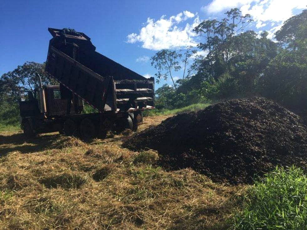 Scientists discarded coffee waste in a forest and were astonished by its appearance two years later.