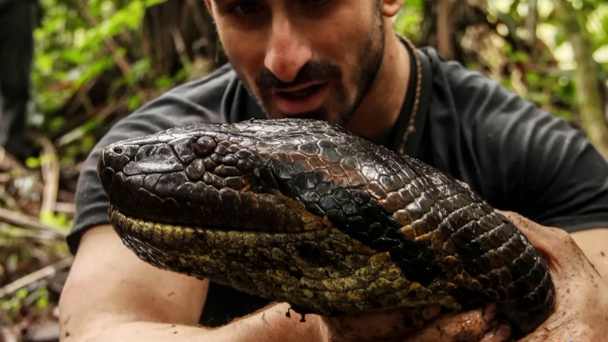 Man Allows Huge Snake to Attempt to Consume Him, Claims a Much Smaller Creature Caused Greater Pain