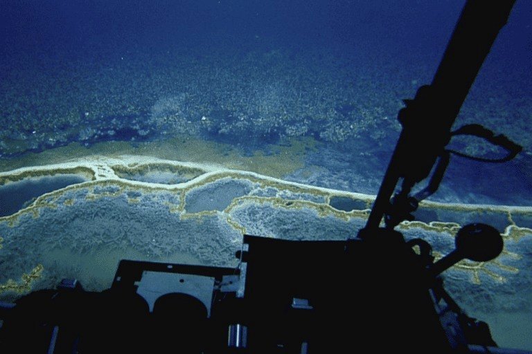The distinct Orca Basin in the Gulf of Mexico must not be turned into a carbon dump (commentary)
