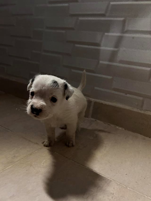 Her little legs