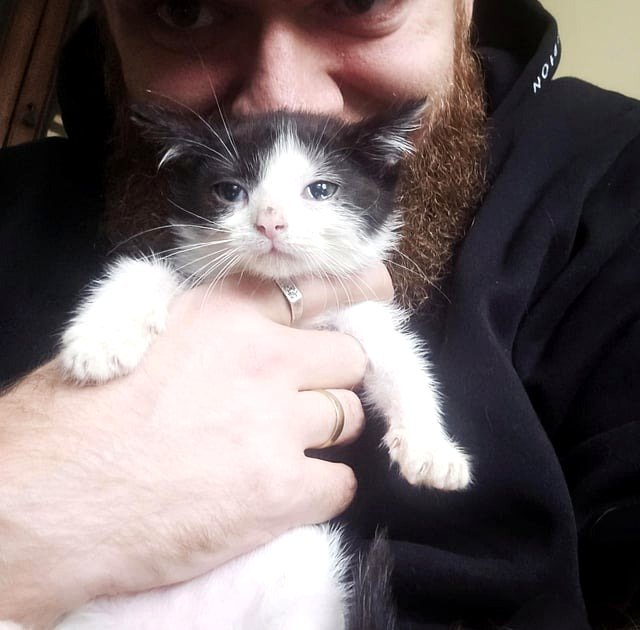 The little cat my parents took in from the last post!