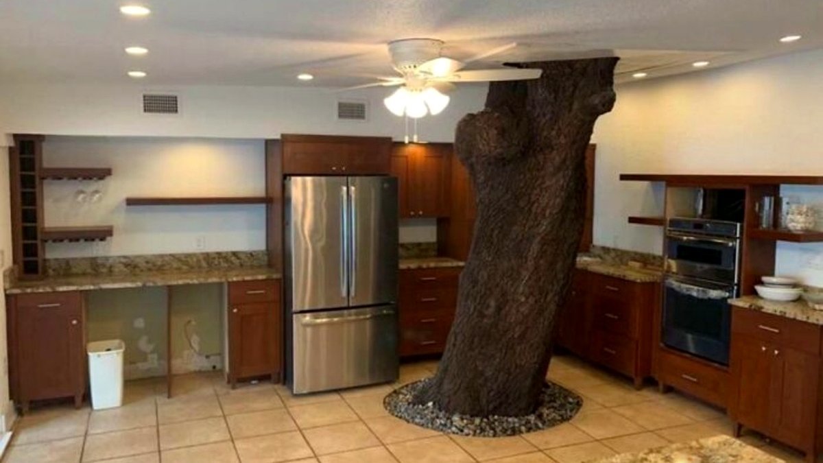 77 Interior Design Choices That Seemed Great in Theory but Fell Short in Reality