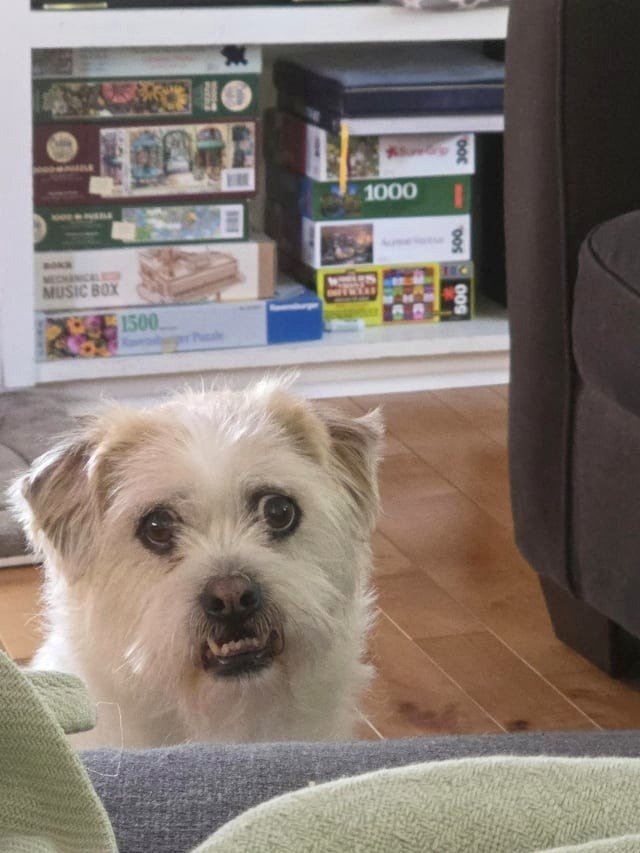 Here is Baxter