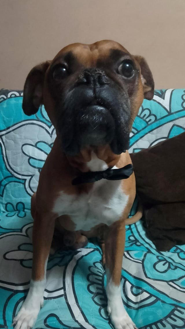 He is an esteemed gentleman.