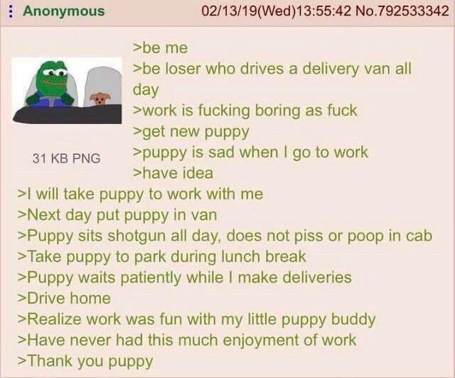 Anon adopted a puppy.