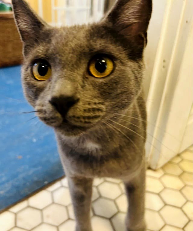 This tiny troublemaker was sent our way…