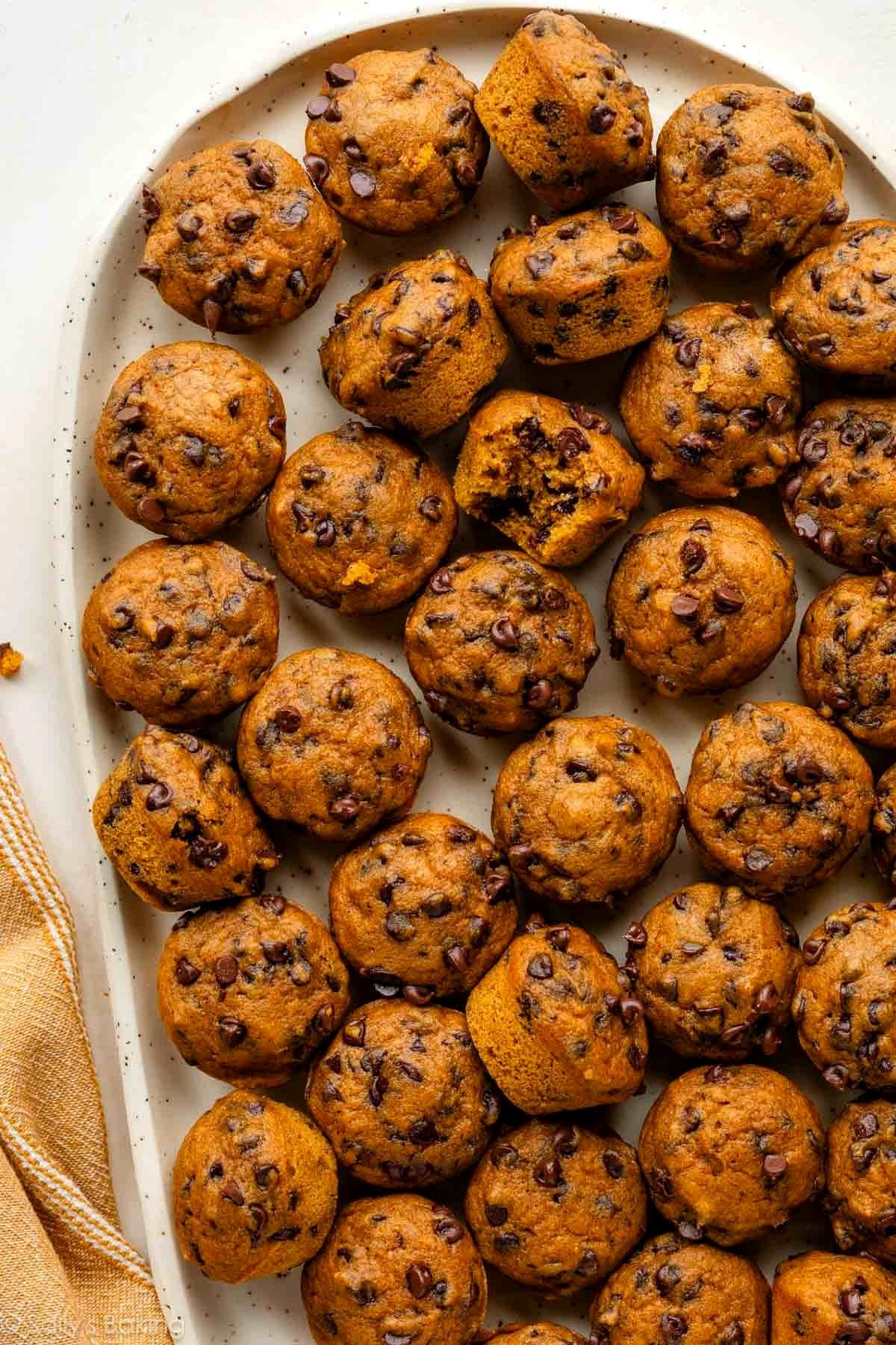 Small Chocolate Chip Pumpkin Muffins