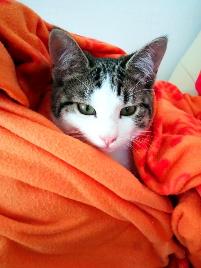 Snug and entirely comfortable