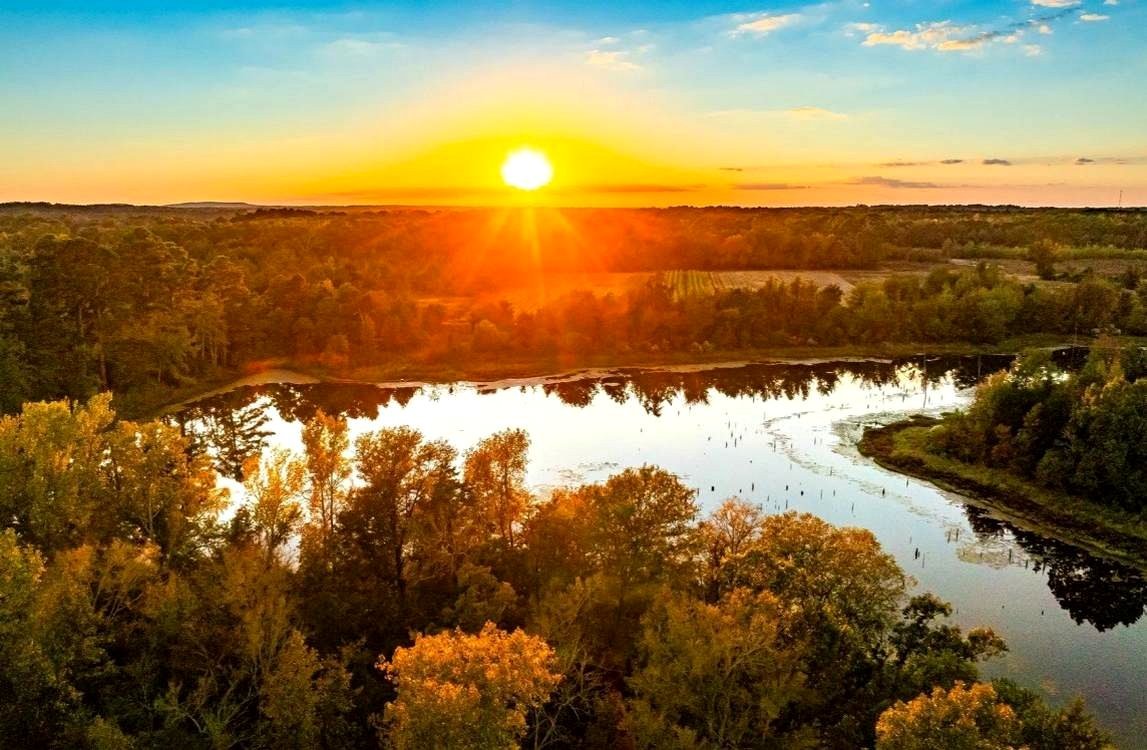 Family Sells 650 Acres at East Texas Lake to Create State Park, Describing Land as ‘Part of My Soul’