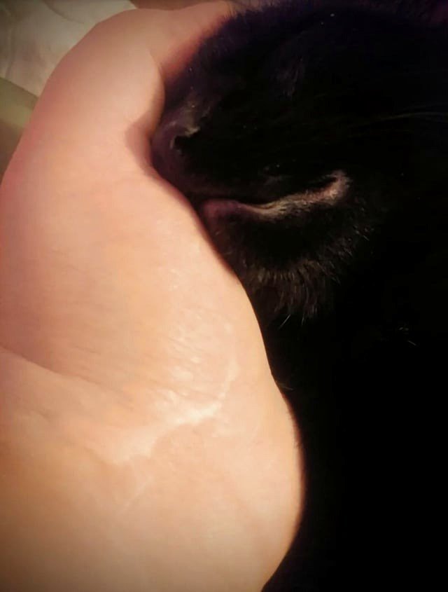 She dozed off while being petted.