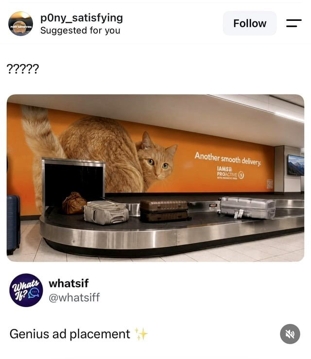 Brilliant advertisement or not?