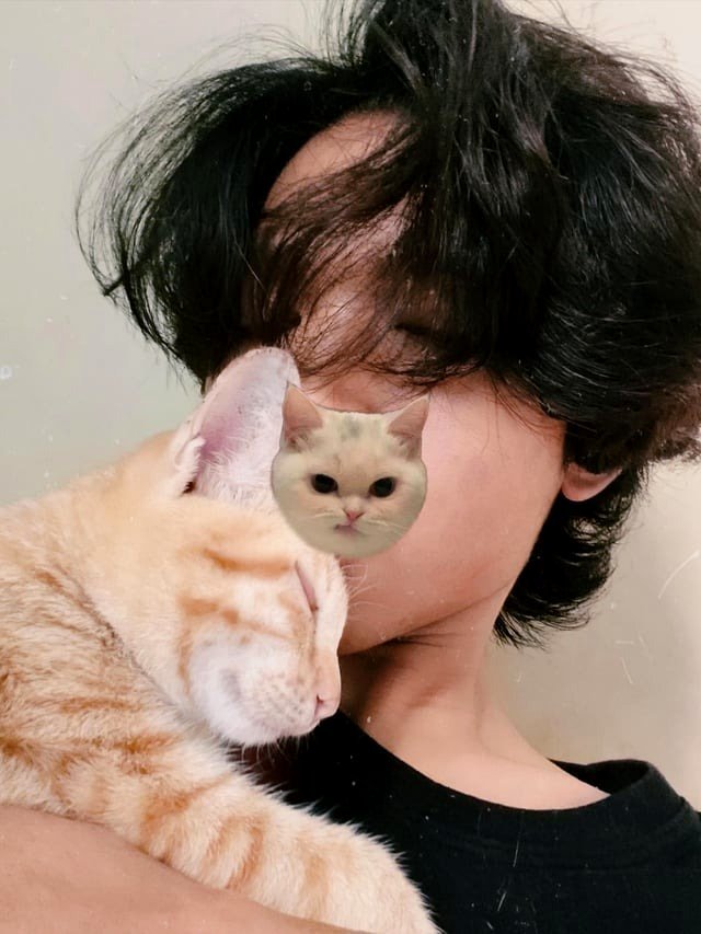 Whenever I embrace my cat, I can't help but think of other strays who are missing warmth and affection.