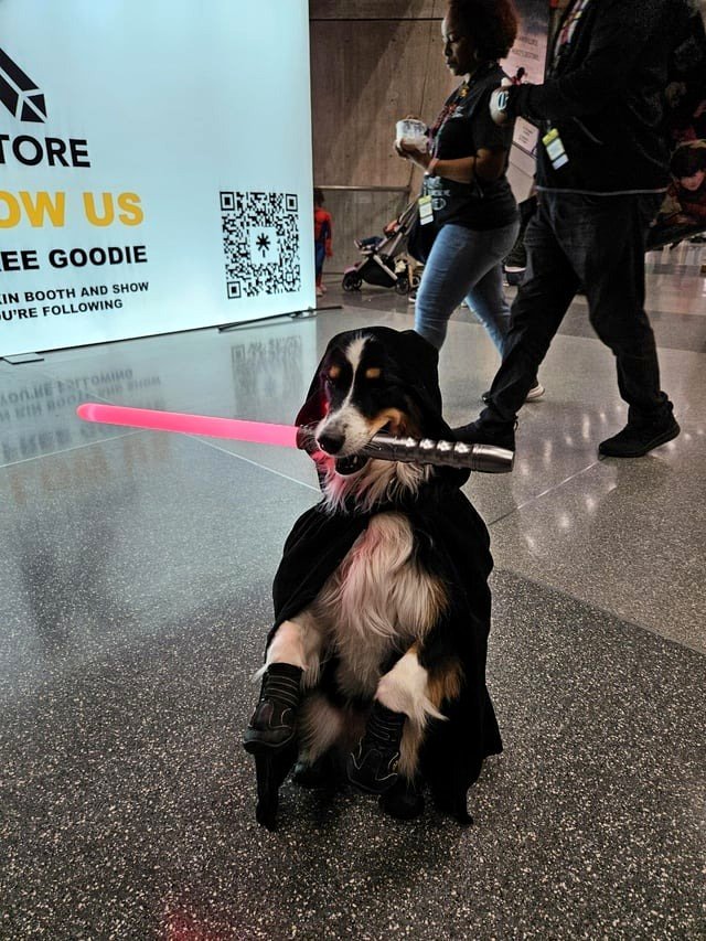 The fur-power is strong with this one.