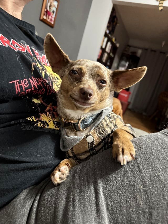 Noogie appears to be very high.