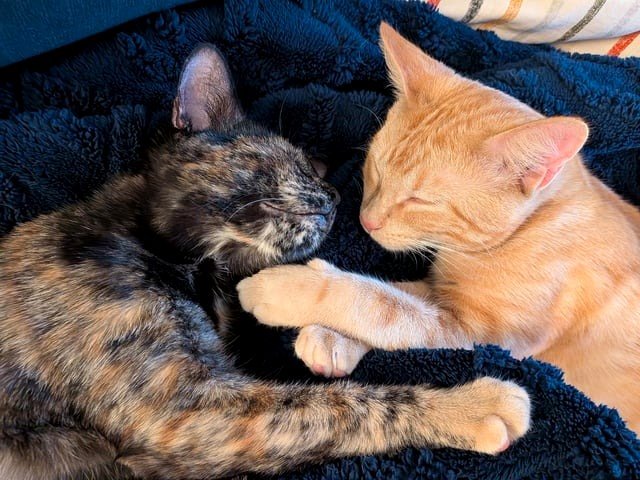 I can't help but share, they keep being adorable!